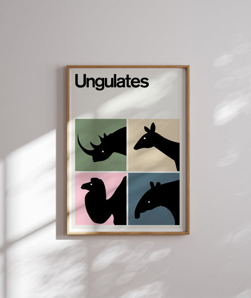 Ungulates