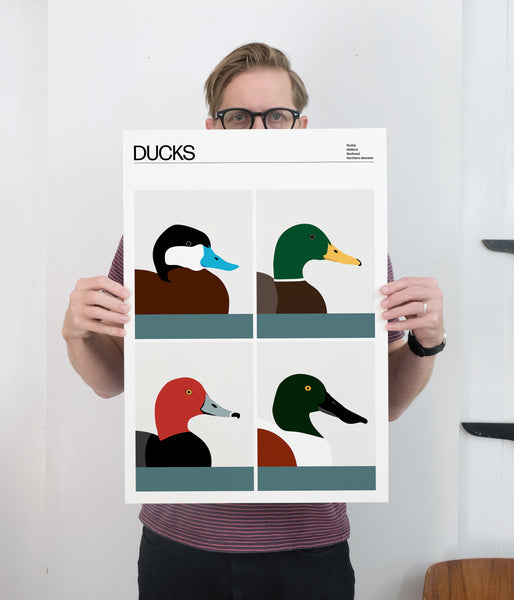 Ducks